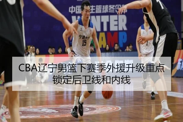 CBA辽宁男篮下赛季外援升级重点锁定后卫线和内线